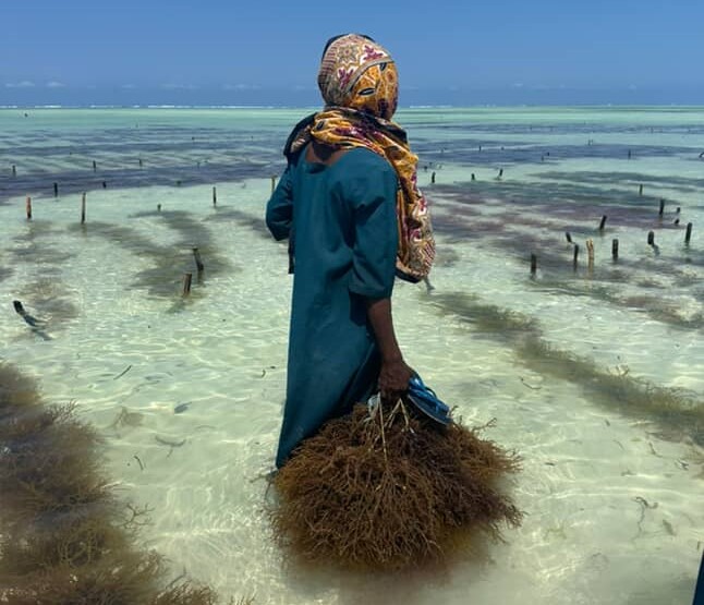 Paje plaža, Zanzibar